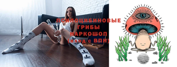 амф Абаза