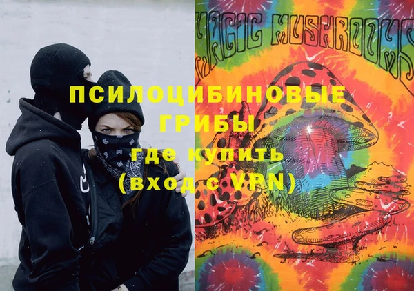 ПСИЛОЦИБИНОВЫЕ ГРИБЫ Абинск