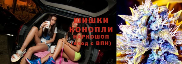 гашик Майский