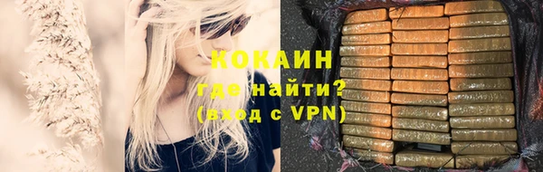 гашик Майский