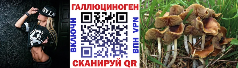 Псилоцибиновые грибы MAGIC MUSHROOMS  Южноуральск 